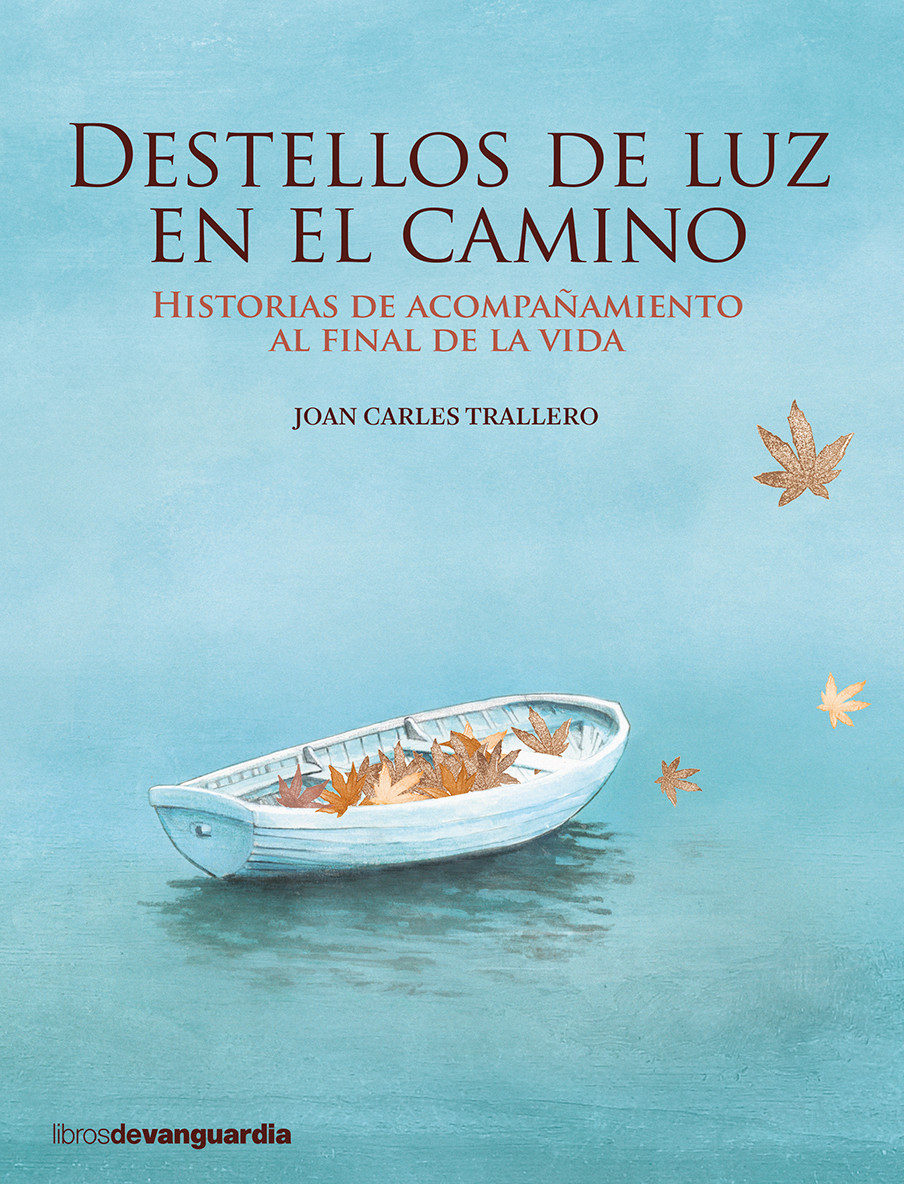 portada Destellos de luz en el camino portada Destellos de luz en el camino