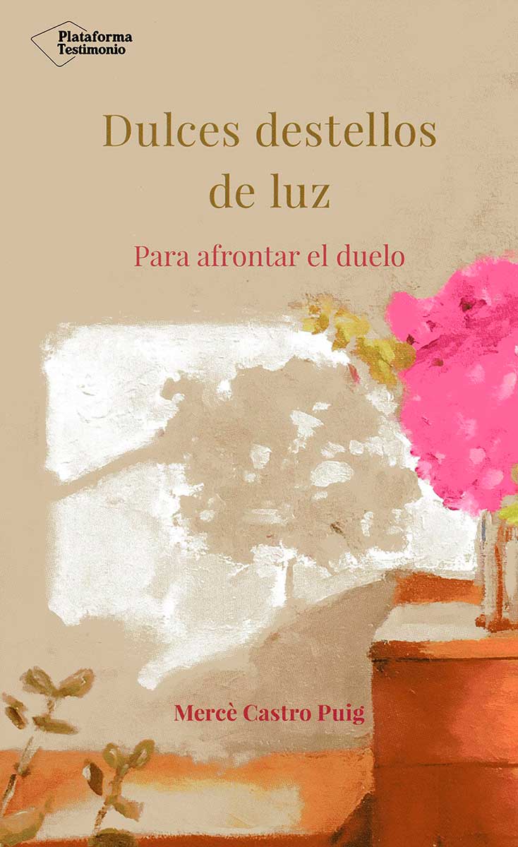 portada Dulces destellos de luz