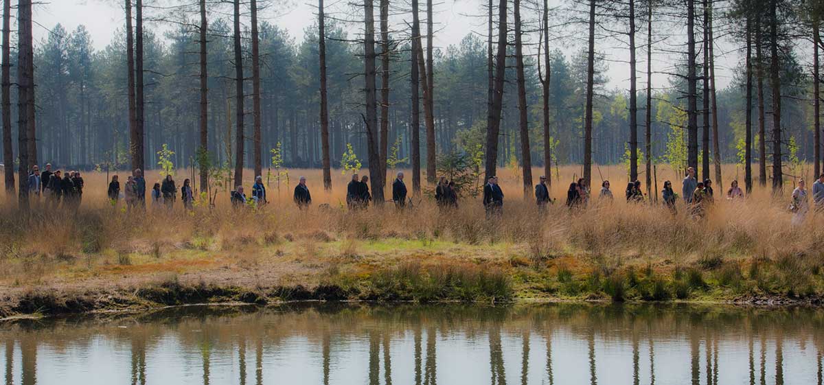 El cementerio natural De Utrecht ha conseguido reconvertir un "desierto" ecológico en naturaleza vital con biotopos de elevado interés ecológico. Un hermoso lugar repleto de naturaleza.