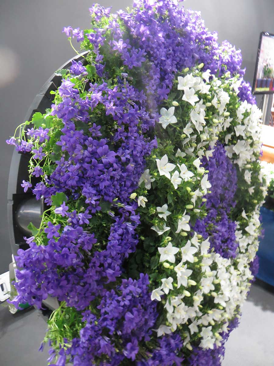 Corona rellena de planta viva con flor en tiestos insertados en la estructura de The Green Memory de Limbo Disseny. Foto: FuneralNatural