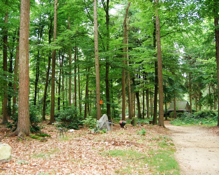 Natuurbegraafplaats de Witteveen, un cementerio llamado natural pero que claramente no cumple con los objetivos de estos.