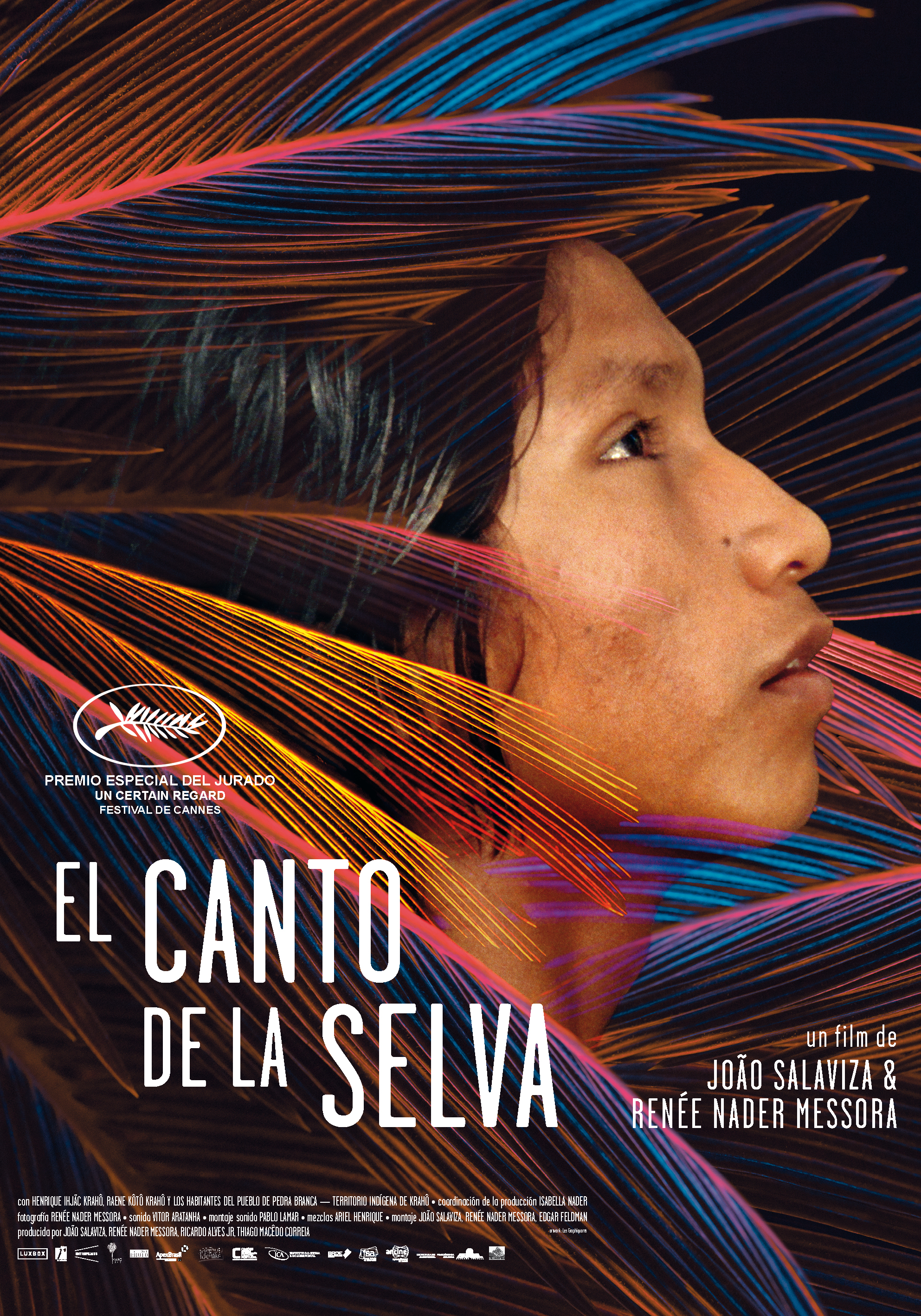 cartel el canto de la selva