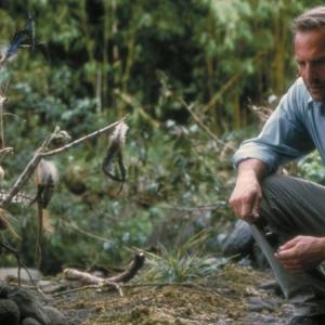 Kevin Costner en el film Dragonfly