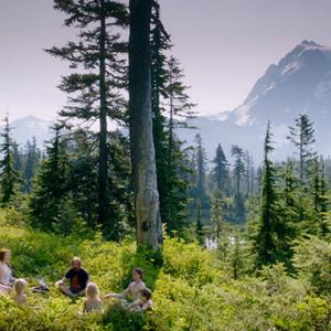 Captain Fantastic, escena