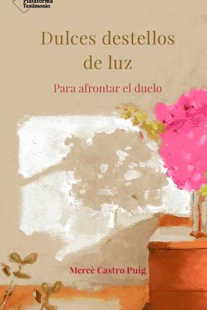 portada Dulces destellos de luz