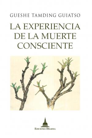 portada La experiencia de la muerte consciente